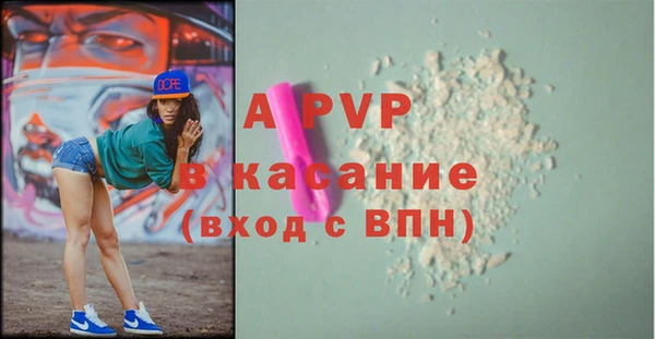 гашик Осташков