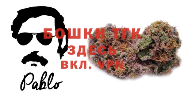 Альфа ПВП Осинники
