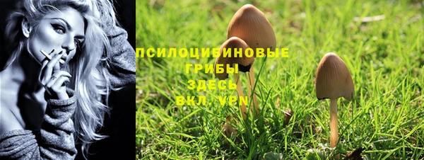 гашик Осташков