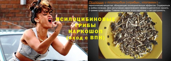 гашик Осташков