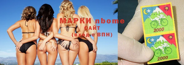 гашик Осташков