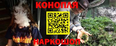 шишки Гусиноозёрск