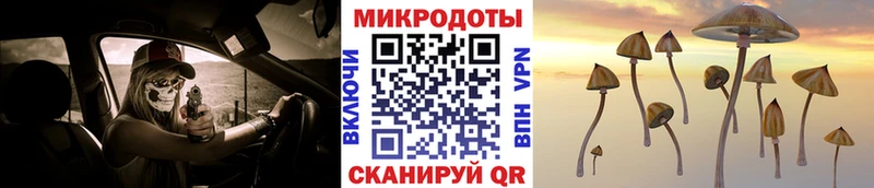 МЕГА зеркало  Костомукша  Галлюциногенные грибы Cubensis 