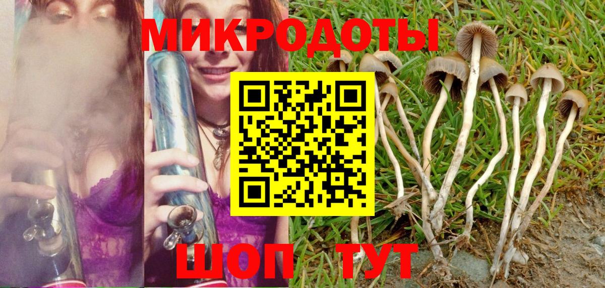 Галлюциногенные грибы мухоморы  Вход с VPN  Псилоцибиновые грибы Psilocybe  Костомукша 